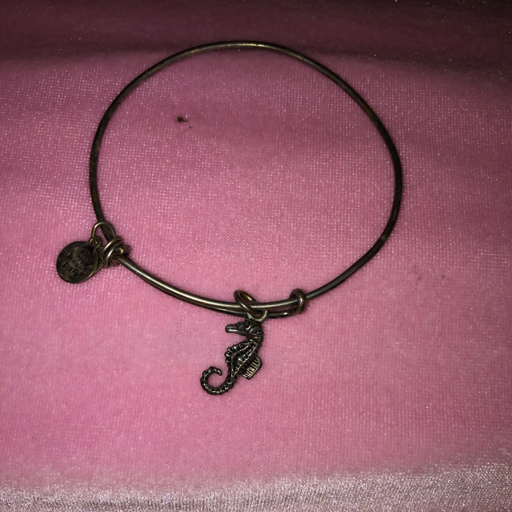Seahorse Alex and anni
